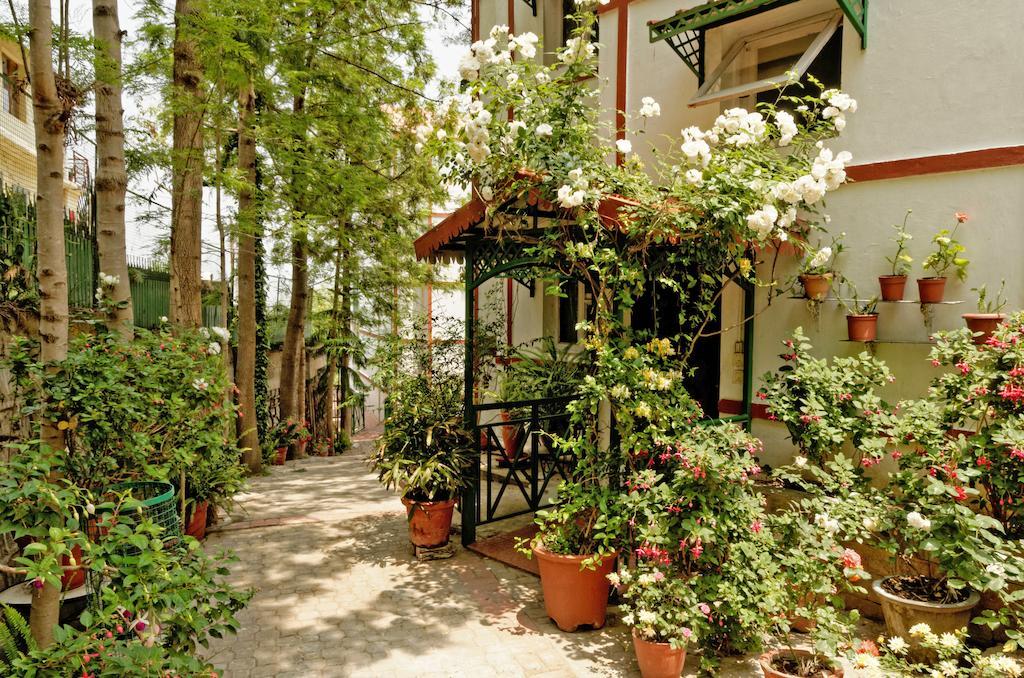 Kasauli Resort By Piccadily Exterior photo